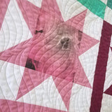 detail of Starburst Blooms