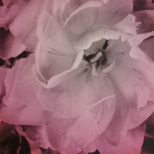 pink ruffled tulip digitally-printed fabric
